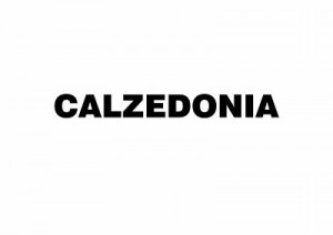 logo calzedonia